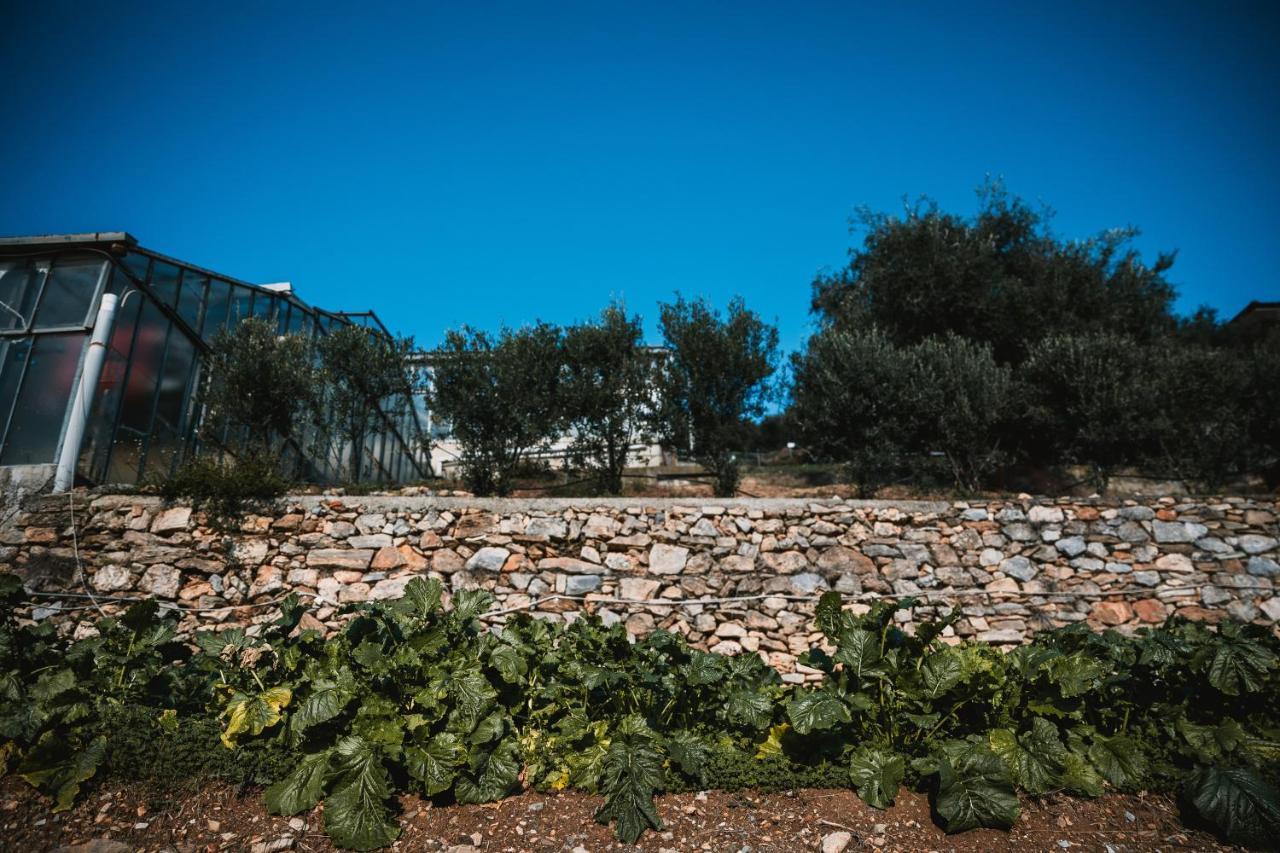 Agriturismo Rose Di Pietra Pietra Ligure Bagian luar foto