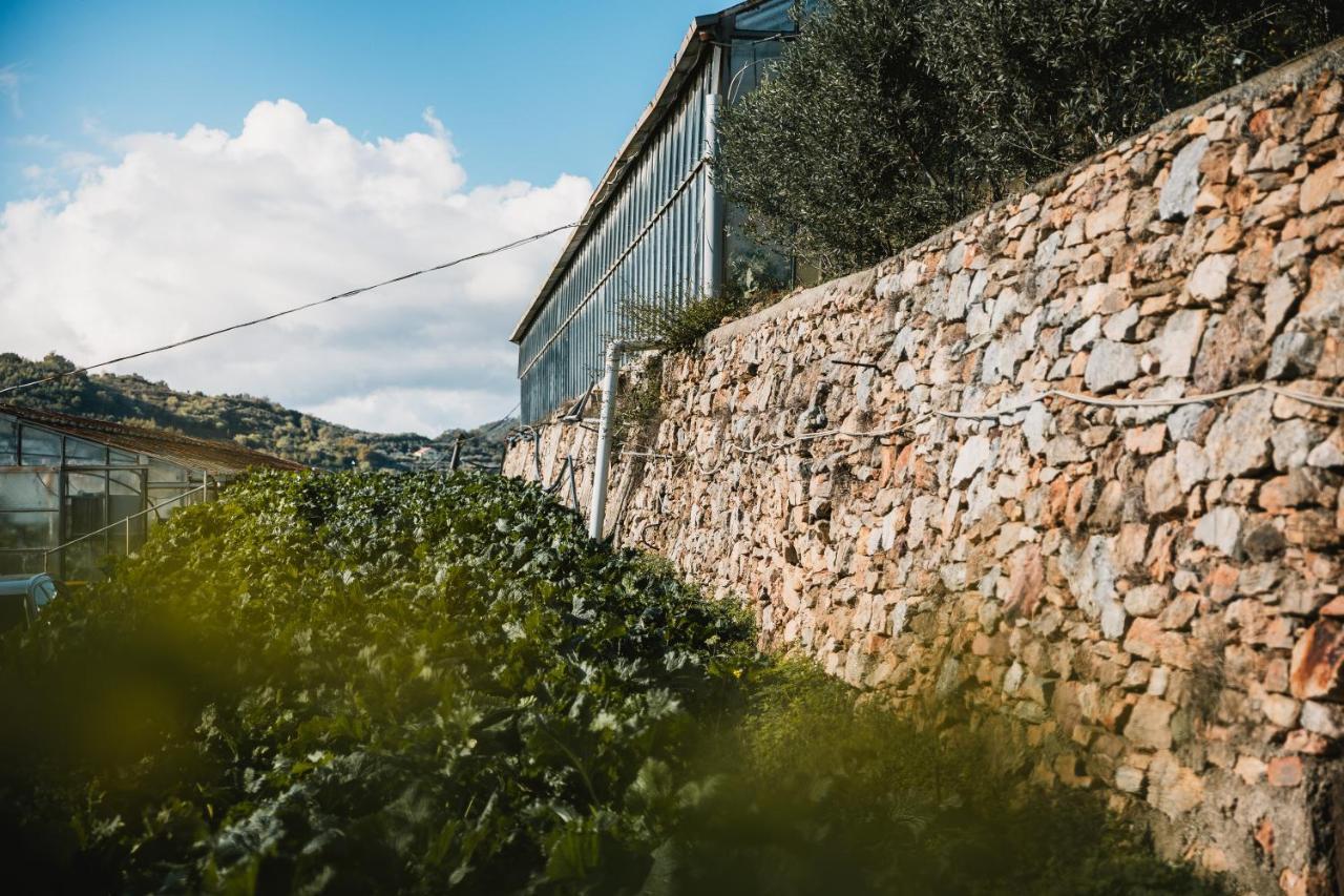 Agriturismo Rose Di Pietra Pietra Ligure Bagian luar foto